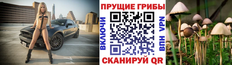 Галлюциногенные грибы мухоморы  Купить  Калтан 